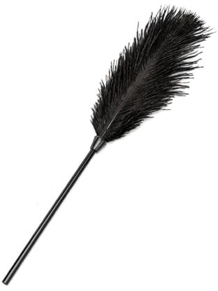 TAUOE Accessoires de massage pour couple, bâton de chatouillement interactif intime pour hommes et femmes, douce tentation romantique en plumes - noir