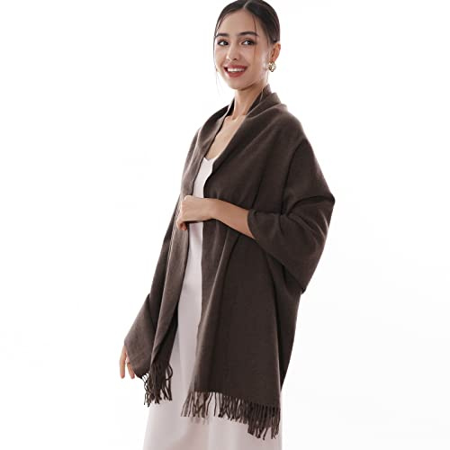 RIIQIICHY Damen Schal Caffè Stola Festlich für Abendkleid Pashmina Schals Tücher für Frauen Hochzeit Schultertuch Frühling Winter Schal Warme Kuschelig