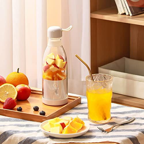 RANRAO Portable Smoothie Blender, Personal Blender, 300 ML Mini Size Juicer Cup, Small Blender for Shakes and Smoothies, USB Rechargeable