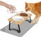 Lnueovcn Raised Cat Bowls 2PCS, 15° Tilted Ceramic Elevated Cat food Bowls for Food and Water, Cat Dog bowls Dish with Bamboo Stand Anti Vomiting for Cats and Puppy, Non-Slip Stand, Dishwasher Safe