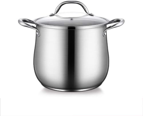 Pentola in acciaio inox con coperchio in vetro, pentola con doppi manici resistenti al calore, 5 l