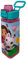 CARTOON Bouteille d'eau carrée en plastique réutilisable 500 ml ouverture à pression accessoire pour enfants (Gabby's Dollhouse)