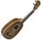Lanikai Ukulele (MAP)