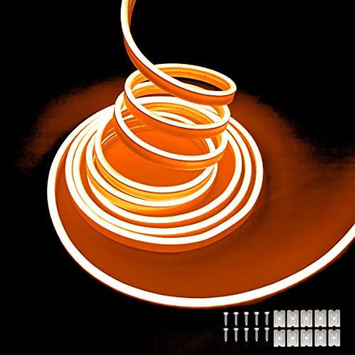 Balabaxer Orange Neon-LED-Streifenlichter, 16,4 Fuß/5 m 16,4 Fuß/5 m 12 V DC 600 SMD2835 LEDs Wasserdichtes Lichtschlauch für Indoor Outdoor Home Decoration (ohne Antrieb)