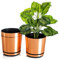 KORAD Set of 3 Copper Plant Pots 26 cm Decorative Pots 26 cm for Flowers, Herbs, Plant Compositions OSL 26/121 x3