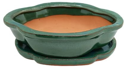 Garden Center shop by VM Tiesto DE CERÁMICA Olea BONSÁI VITRIFICADO 26X22X7CM Plato Incluido (Verde)