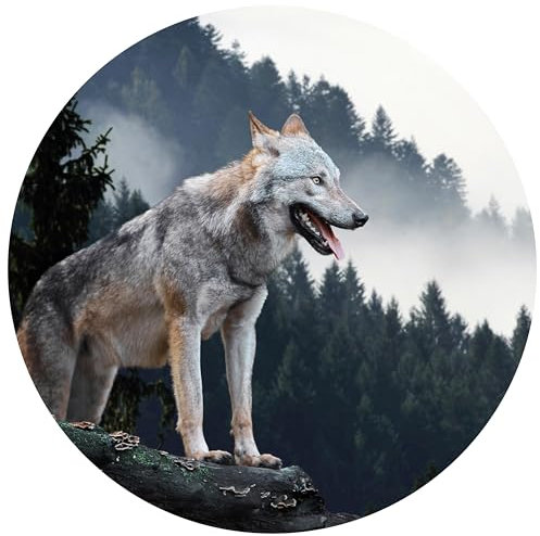 wandmotiv24 Runde Fototapete Wolf im Wald, selbstklebende Strukturtapete 260g - Groß - (150x150cm) M0013