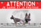Panneau métal Attention au chien berger allemand ring