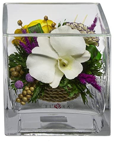 Fiora Blume | Echte Rosen Orchideen | Hält bis zu 5 Jahre | Heimdekorationen ohne Wasser | Allergiefrei | Geruchsresistent | Einzigartiges Geschenk