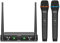 D Debra Audio AU200 Pro UHF - Sistema di microfoni wireless a 2 canali con microfono Lavalier portatile senza fili, ricevitore in metallo, ideale per karaoke e feste in chiesa (2 palmari)