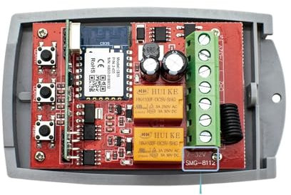 Apricancello automatico scorrevole, Tuya Auto Cancello di Controllo Apri di Apertura Porta Del Garage 433 Cancello Ricevitore Esterno 12v 24v 220v Moduli di Controllo Portale Wireless Facile da montar
