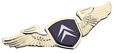 GSXOZCET Auto Emblem Aufkleber,für Citroen Jumpy Berlingo Picasso Cactus Elysee Saxo,mit Logo Metall Badge Aufkleber, Auto Vorne Hinten Styling Tuning Sticker Zubehor,Gold
