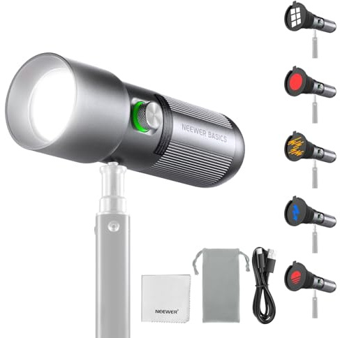 NEEWER Basics Lampe Torche Photographie RGB, Projecteur Vidéo LED Portable 4 Colors 10W Spotlight,20 GOBO Filtres/7500mAh, Éclairage Ambiance Alliage d'Alum à Motifs pour Studio Enregistrement, FL10