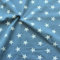 STOFFKONTOR Sweatshirtstoff Baumwollstoff Stoff French Terry Sterne Groß - Meterware, tauben-blau - zum Nähen von Sweatshirts, Pullovern, Jogginganzügen, Kinderkleidung uvm.
