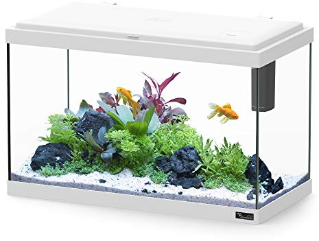 Aquatlantis Aquarium Explorer Rome Weiß, 1er Pack (1 x 4880 g)