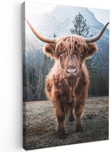 MuchoWow© Wandbilder Wohnzimmer Wanddeko Schlafzimmer Zimmerdeko Fotowand | 60x90 cm - Zimmer Deko Wand Dekoration Wall Art Kuh Leinwand - Schottisches Hochlandrind - Highland Cow Bild - Tiere