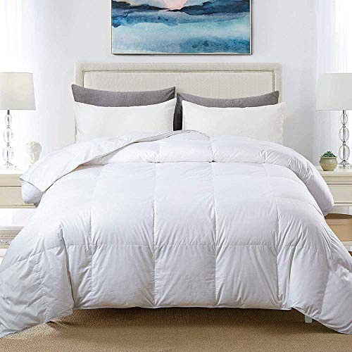 CosìCasa Winter-Bettdecke für Doppelbett, 200 x 250 cm, Gewicht 300 g/m², Mikrofaser, antiallergen, für Doppelbett, warm weiß
