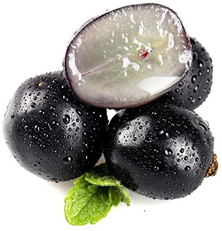 200 semillas de Jabuticaba plantas resistentes árboles frutales columnares regalos de jardín plantas resistentes para balcón plantas de balcón resistentes