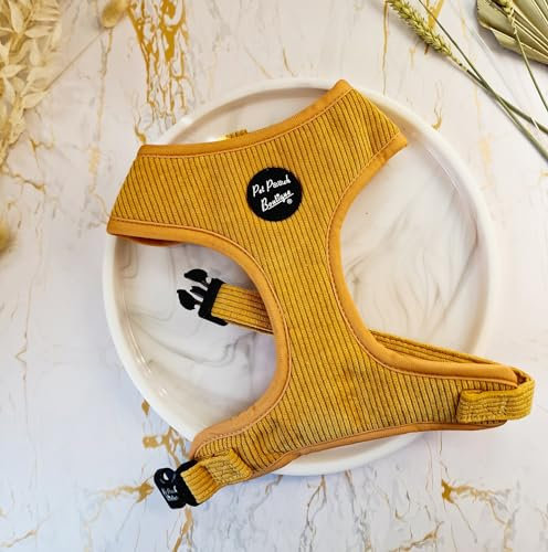 Senfgelb Cord Hundegeschirr XS