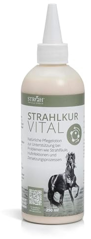 STRÖH Strahlkur Vital Pferd (250ml) • Pflegelotion für Pferde bei Strahlfäule, Hufpilz & Hufinfektion • Natürliche Hufpflege für Pferde mit Zink, Blutwurz, Propolis & mehr