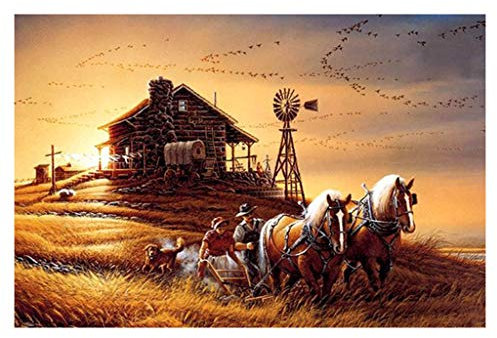 Yowablo Puzzles Bild Puzzles Papier 1000 Stück Montage Spiele Lernspielzeug (750 * 500mm,A)