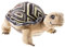 Schule der Magischen Tiere 620278 Schildkröte Henrietta Plüschtier, Sandfarben