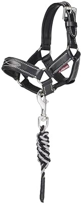 LeMieux Toy Pony Lederhalfter & Führstrick - Geeignet für 3+ - Schwarz