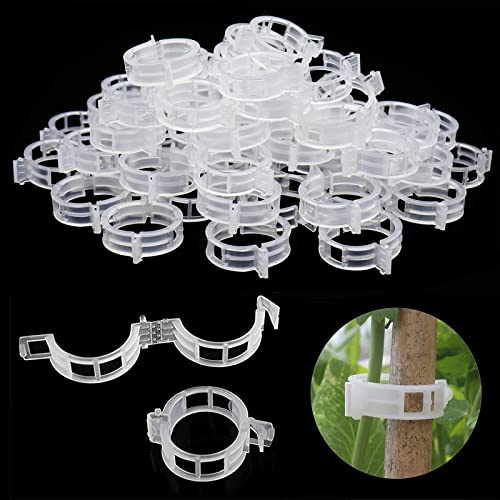 PYJLBX Lot de 300 pinces pour plantes grimpantes pour plantes grimpantes, pinces de tige de vigne pour fixer les tomates, les concombres