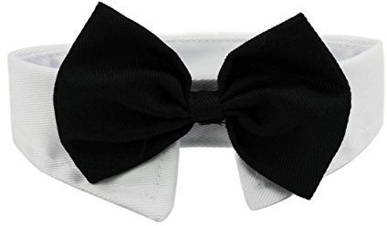 Diyafas 2 x Baumwolle Haustier Fliege Hundekrawatte Katzen Welpen Formelle Halsband Halsketten Einstellbar Krawatte Bowknot für Hochzeit Party