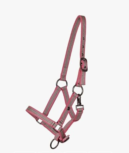 QHP Halfter Jährling Collection Flamingo FS/25