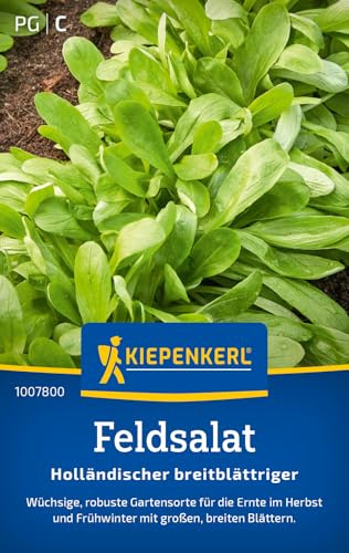 Kiepenkerl Feldsalatsamen Holländischer breitblättriger 1007800, Saatgut