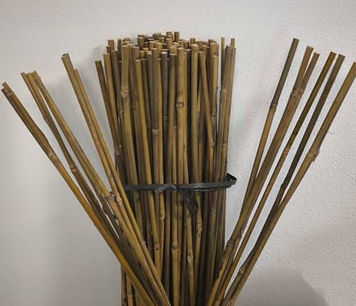 Suinga Lot de 50 Tuteur en Bambou 120 cm, 9-12 mm, Tubes en Bambou pour Plantes et Arbres, Baguettes de Bambou, Canne de Bambou, Tuteur, Tiges de Bambou, Supports pour Arbres