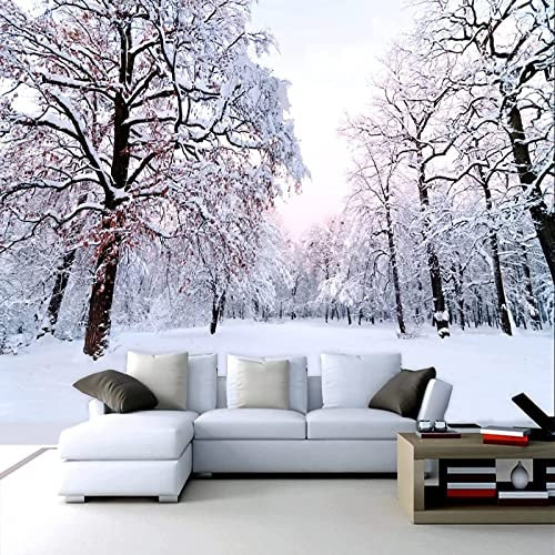 GIVLWF Snow Scenery Forest Avenue Photo Wallpaper, Natural Landscape Wall Mural, Murals Wall Art Print for Hallway Stairway Home Decoration 300 x 210 cm