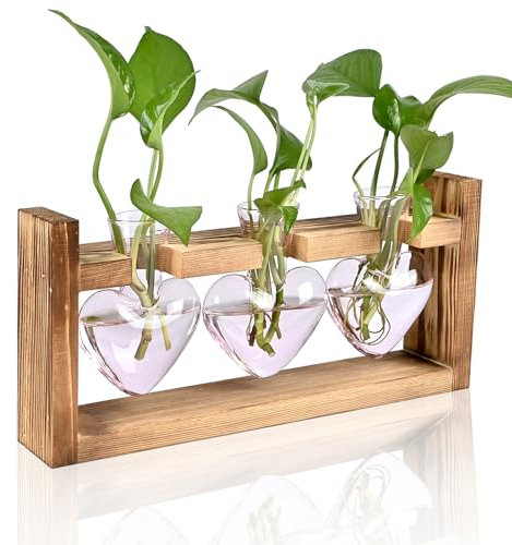 Stations de propagation de terrarium pour plantes hydroponiques décoration pour la maison et le jardin cadeau pour les femmes avec support en bois vase en verre coloré en forme de coeur