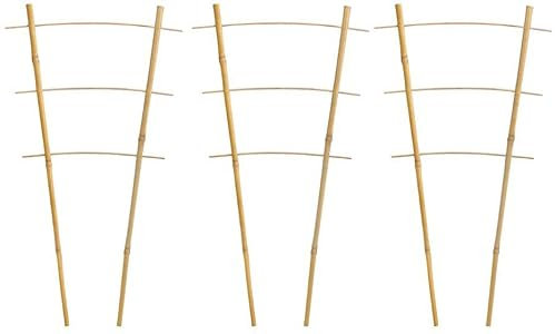 Novatool 3X Pflanzstütze 45 x 17 x 12 Rankgitter I Rankhilfe naturfarben Kletterhilfe Zimmer- und Gemüsepflanzen I Bambuspflanzgitter Rosen Blumenspalier Tonkinstab Bambus I Bambusspalier