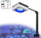 PopBloom RL90 Meerwasser LED, Salzwasser LED Beleuchtung für Reef Coral Fish Wasserpflanzen Salzwasser Aquarium (100W für 60x60x60cm Becken)