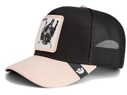 Goorin Bros Trucker Cap schwarz und beige Toro Raging Llub Flip Side 2 The Farm