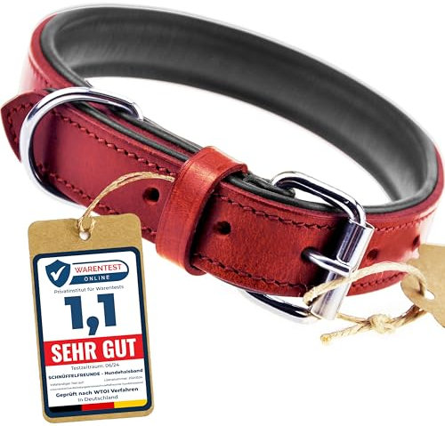 Schnüffelfreunde Halsband für Hunde aus Leder, Hundehalsband für den großen, mittleren und kleinen Hund, Lederhalsband gepolstert, robust (XXL - 55-65cm, Rot)
