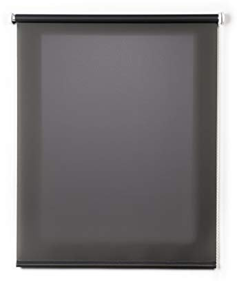 Estores Enrollables Translucidos para Ventanas y Puertas Estor Enrollable Traslucido Liso Cortinas translucidas para Salon Dormitorio Cocina Oficina ¡hasta 200cm de Ancho! Gris clásico 140 x 250 cm