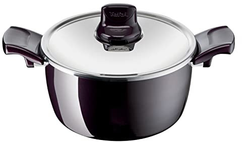 Tefal Resist Intense Stewpot with Stainless Steel Lid 24 Cm
