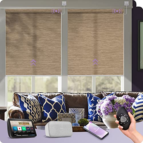 Graywind Smart Roller Blinds Light Filtering, WiFi Hardwired Electric Window Blinds, Thermal Insulated Motorised Roller Blinds Compatible With Alexa Google, Woven Beige