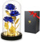 Regalo di San Valentino, donna, rose eterne, la bella e la bestia, elegante cupola in vetro con luci LED pino, decorazione magica per San Valentino, festa di compleanno, matrimonio rosa