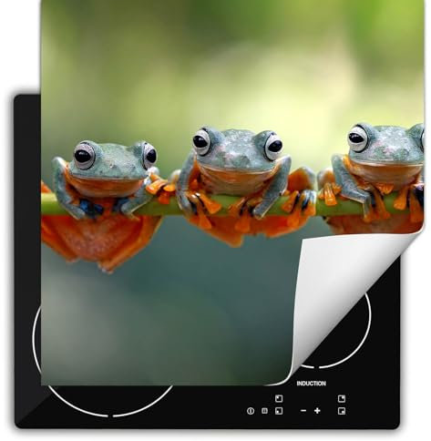 SMTDeco herdabdeckplatte Induktionsmatte herdabdeckung ceranfeld abdeckplatten für ceranfelder induktionskochfeld schutzmatte 60x52 cm Frosch Foto Grün