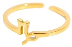 Verstellbarer Ring Mit Sternzeichen Steinbock Für Frauen Und Mädchen – Schlichter Ring Zum Öffnen Des Horoskops, Himmlischer Statement-Ring, Schmuckgeschenk, Verstellbar