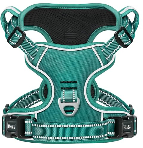 HEELE Harnais Chien, Harnais Chien Anti Traction, Réfléchissant, avec Poignée Rembourrée Contrôl, 2 Anneaux Métal, Harnais pour Petit Moyen et Grand Chien, Vert Gazon, XL