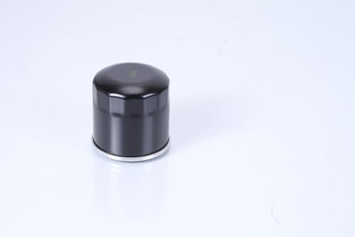 Ölfilter Iseki SXG 22 Filter
