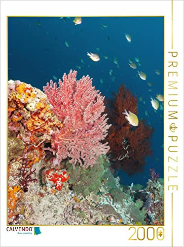 CALVENDO Puzzle EIN Motiv aus dem Kalender Farbenfrohe Unterwasserwelt 2000 Teile Puzzle hoch | Lege-Größe cm Foto-Puzzle für glückliche Stunden