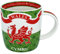 Royal Tara Tasse en porcelaine anglaise Cymru Pays de Galles en céramique peinte à la main - Ustensiles de cuisine pour boissons chaudes ou froides - 354,4 g