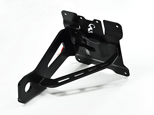 ZIEGER seitlicher Kennzeichenhalter kompatibel mit Harley Davidson Dyna Modelle BJ 2005-