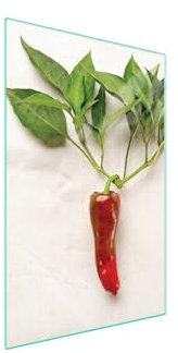 TMK ArtDeko Herdabdeckplatte 35x52 Einteilig Glas Induktion Herdschutz Spritzschutz Glasplatte Deko Schneidebrett, Chili